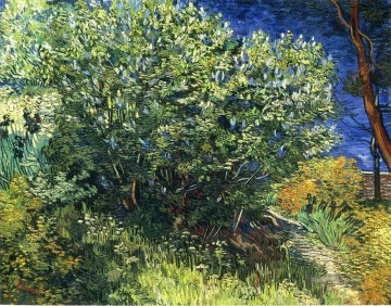 Fliederbusch Vincent van Gogh Ölgemälde